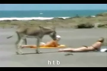 في شبابهن ، كانت العديد من الفتيات يمارسن محارم سكسي عربي الجنس مع الوسائد