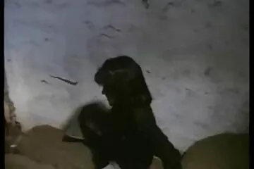 رجل ناضج يضع سكسي عربي محرم شريكه تحت صبي صغير.