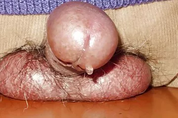 قدم سكسي افلام محارم عذراء للحيوانات المنوية.
